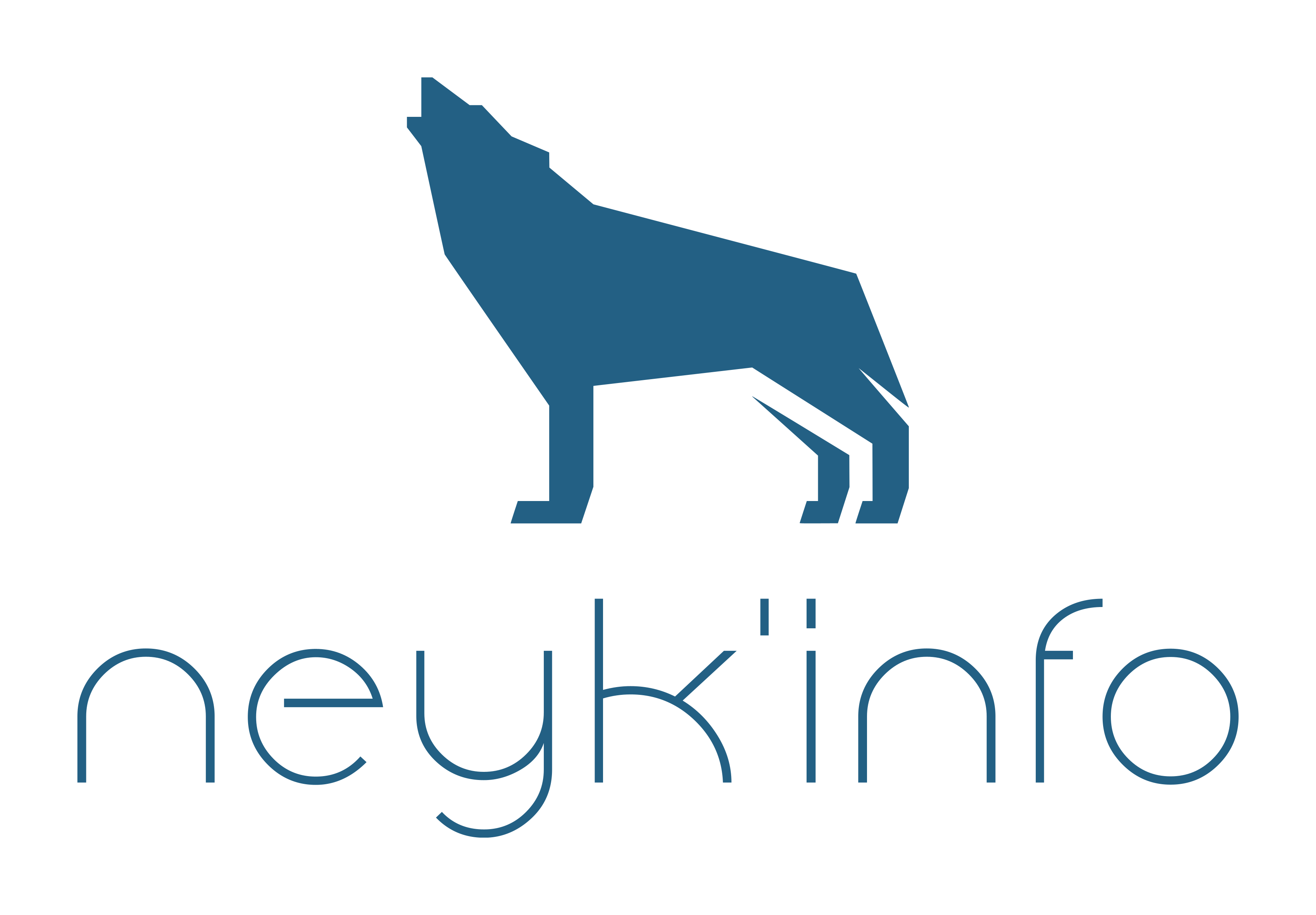 Neyk'info Logo